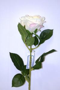 SРR 3/Пион роза крем-желтый 70 см , шт.