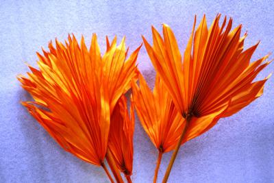 Лист пальмовый оранжевый (6)
